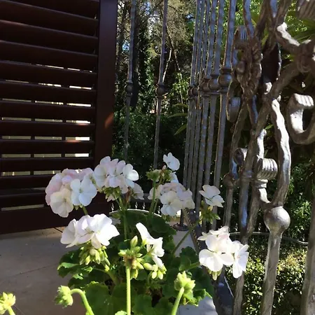 Apartman Wishing Well Zadar